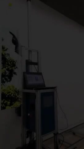 @usermayank