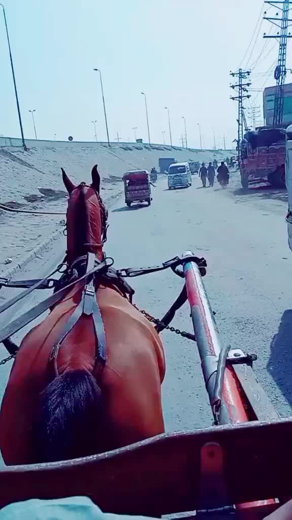 @ali Gujjar