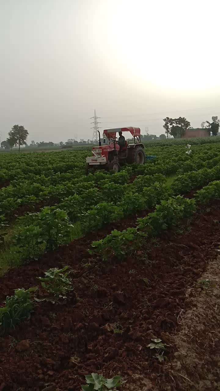 @Rohit. punia