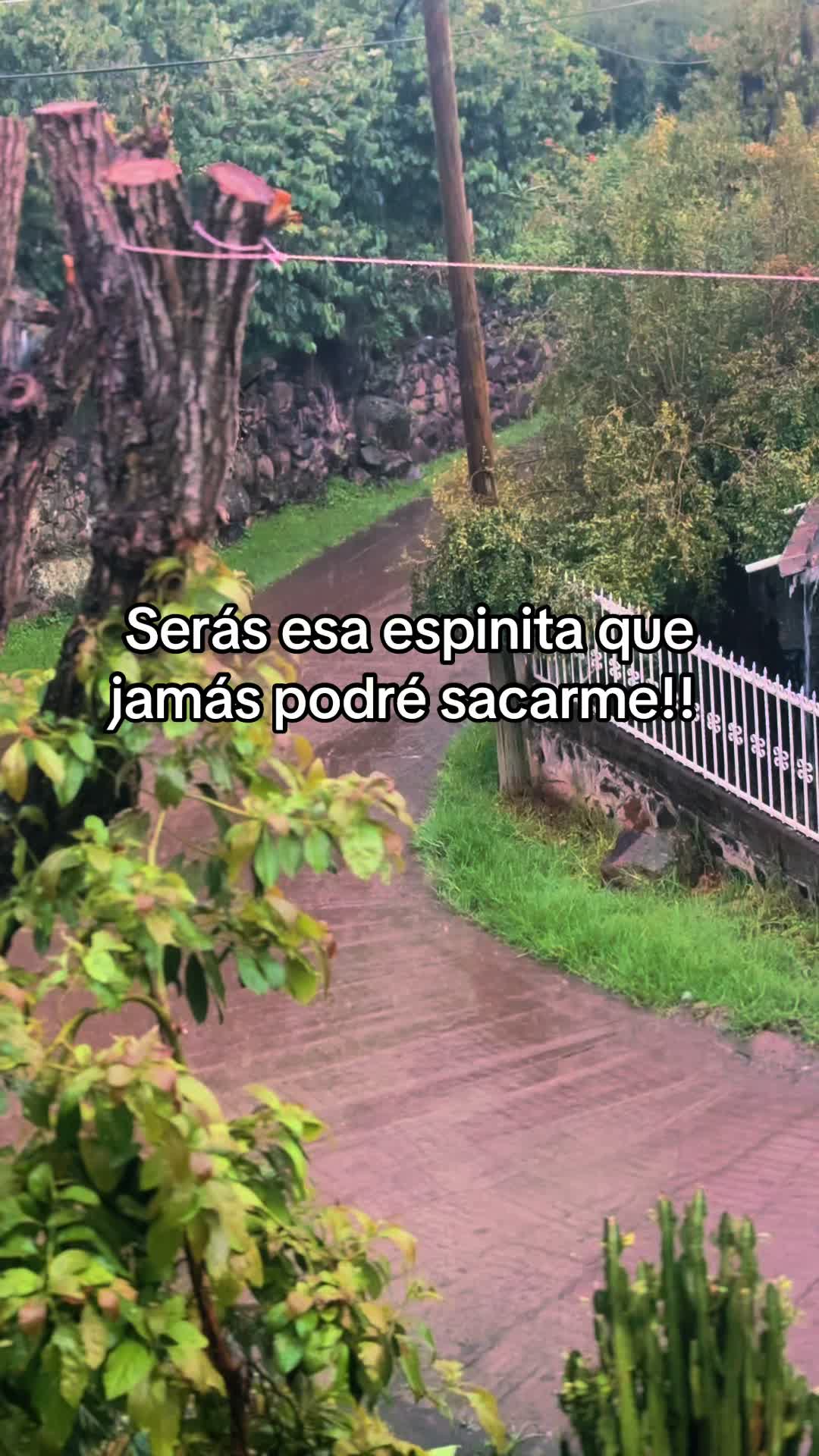 @Maria Orozco