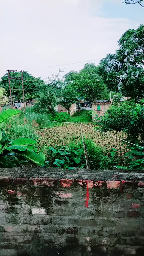 @Guddu Singh