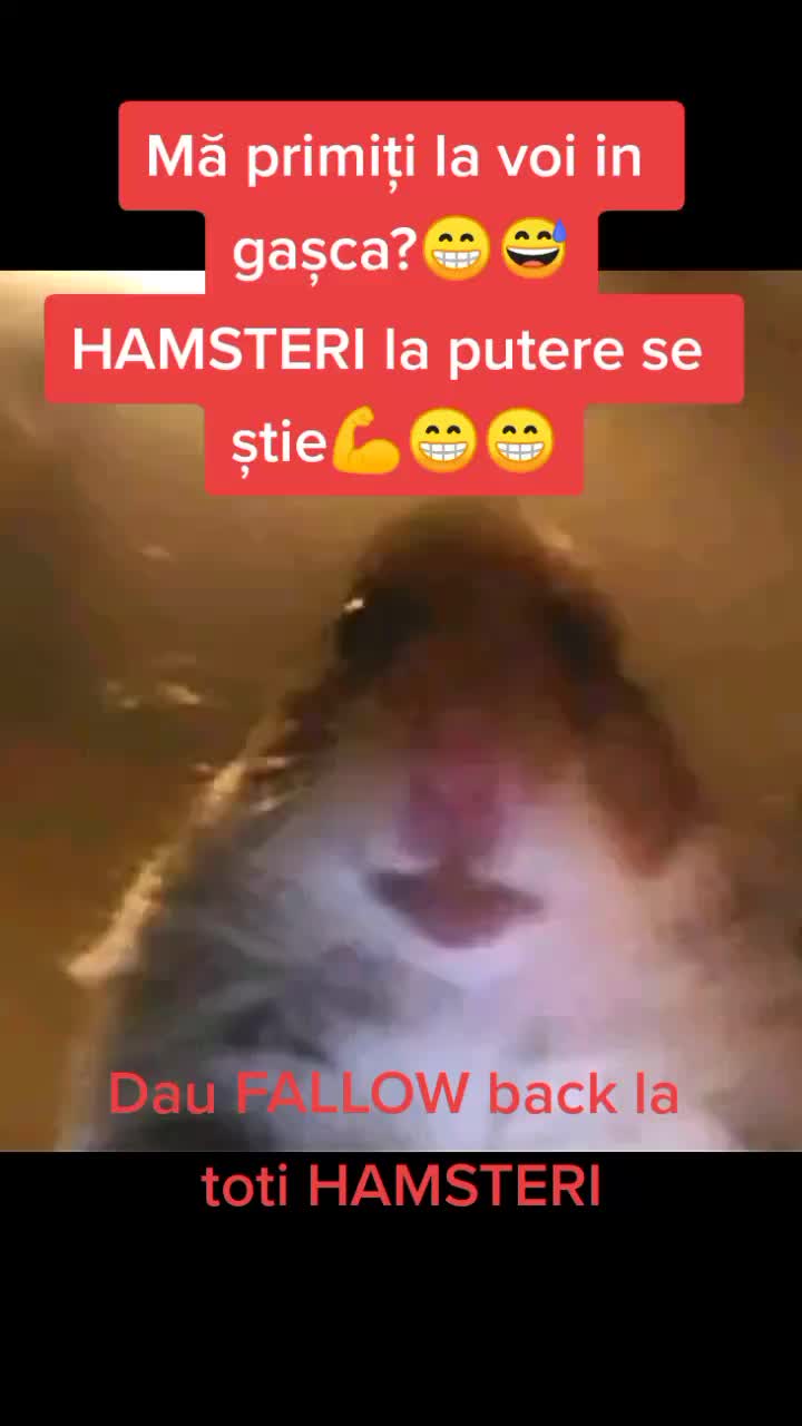 @Byanca.BS