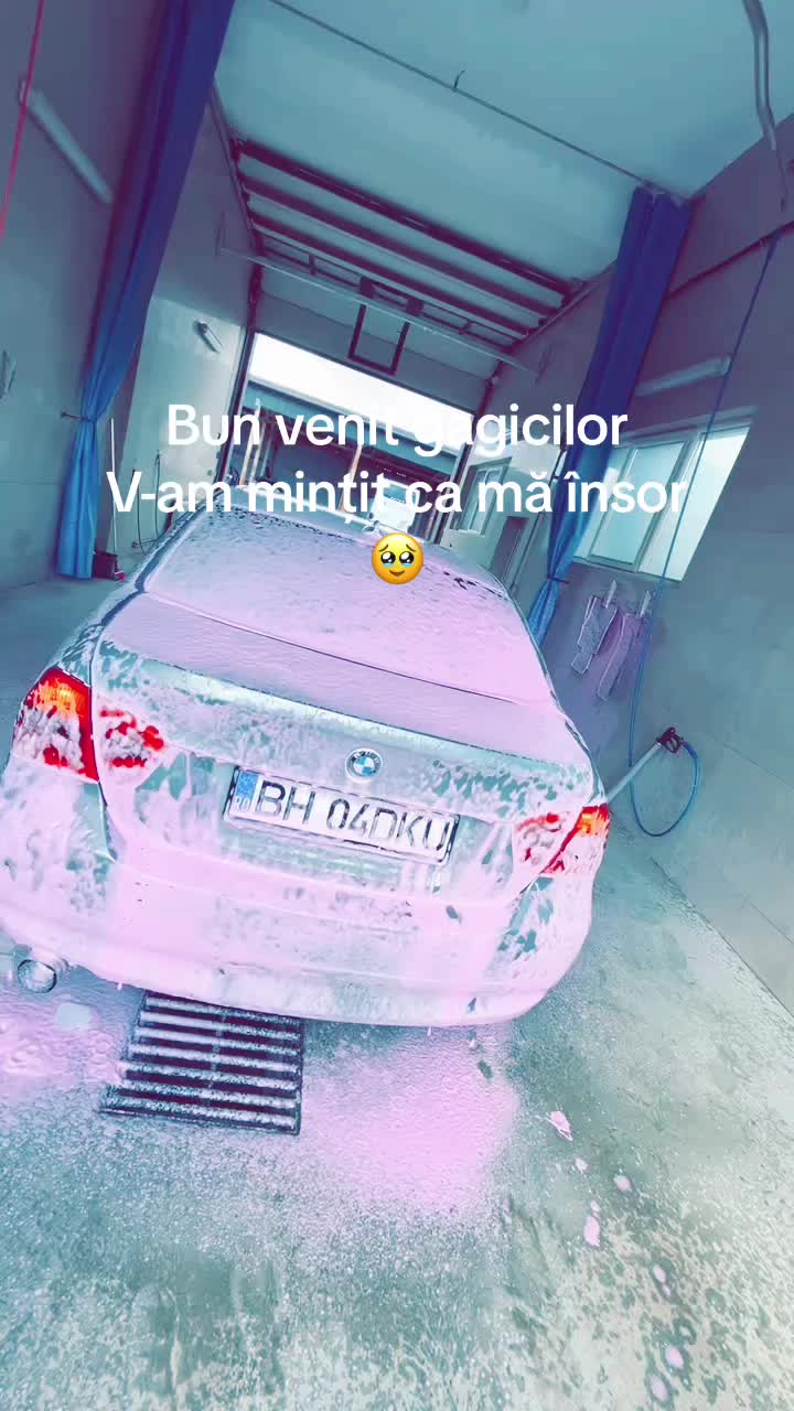 @popdavid51