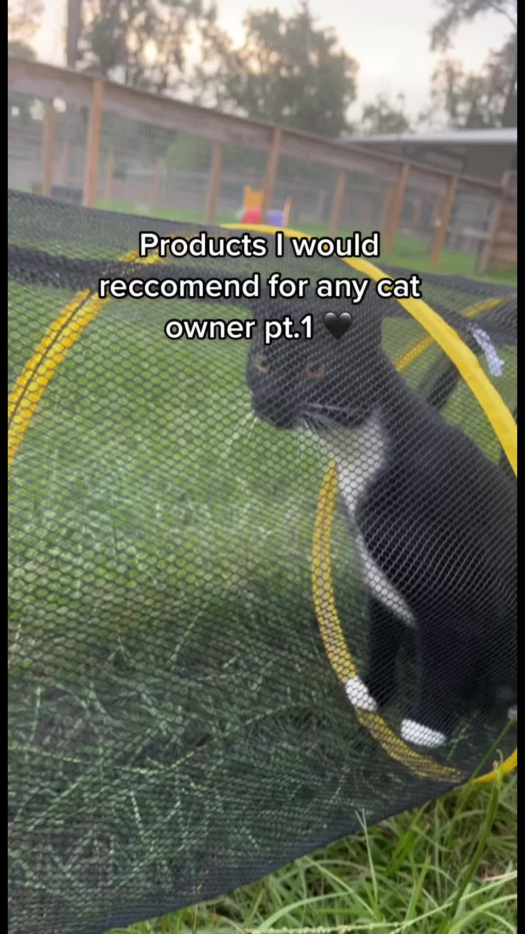 @happyhousecat