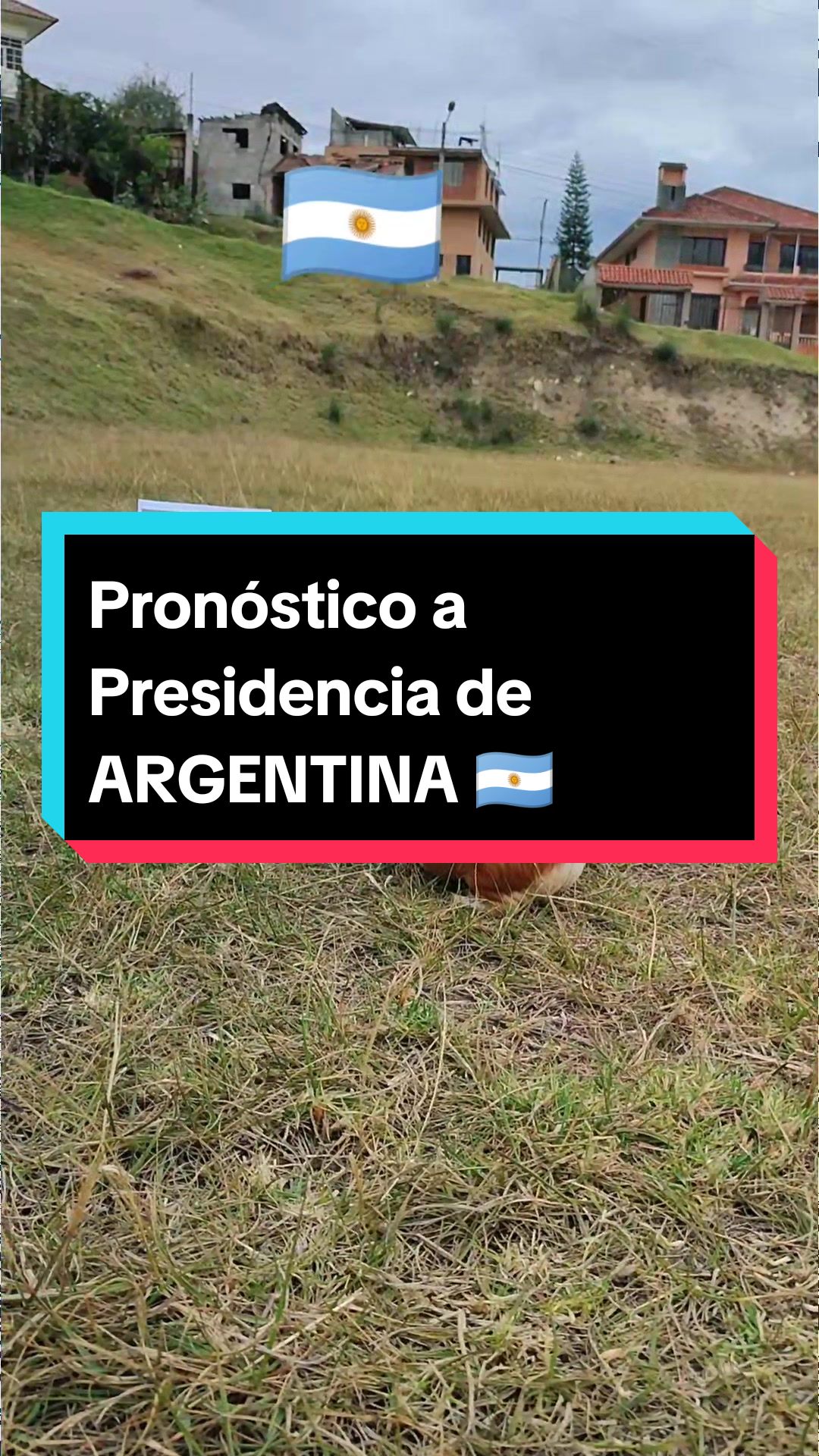 @La cuy adivina