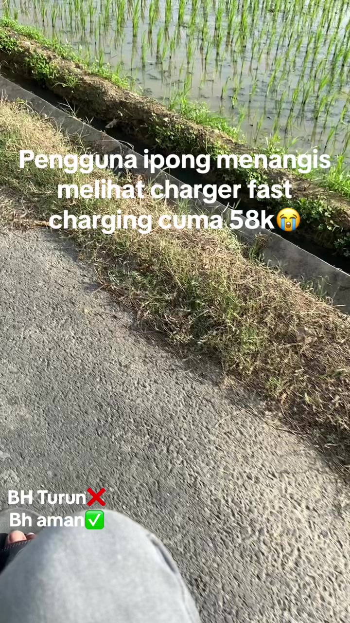 @marshop.id