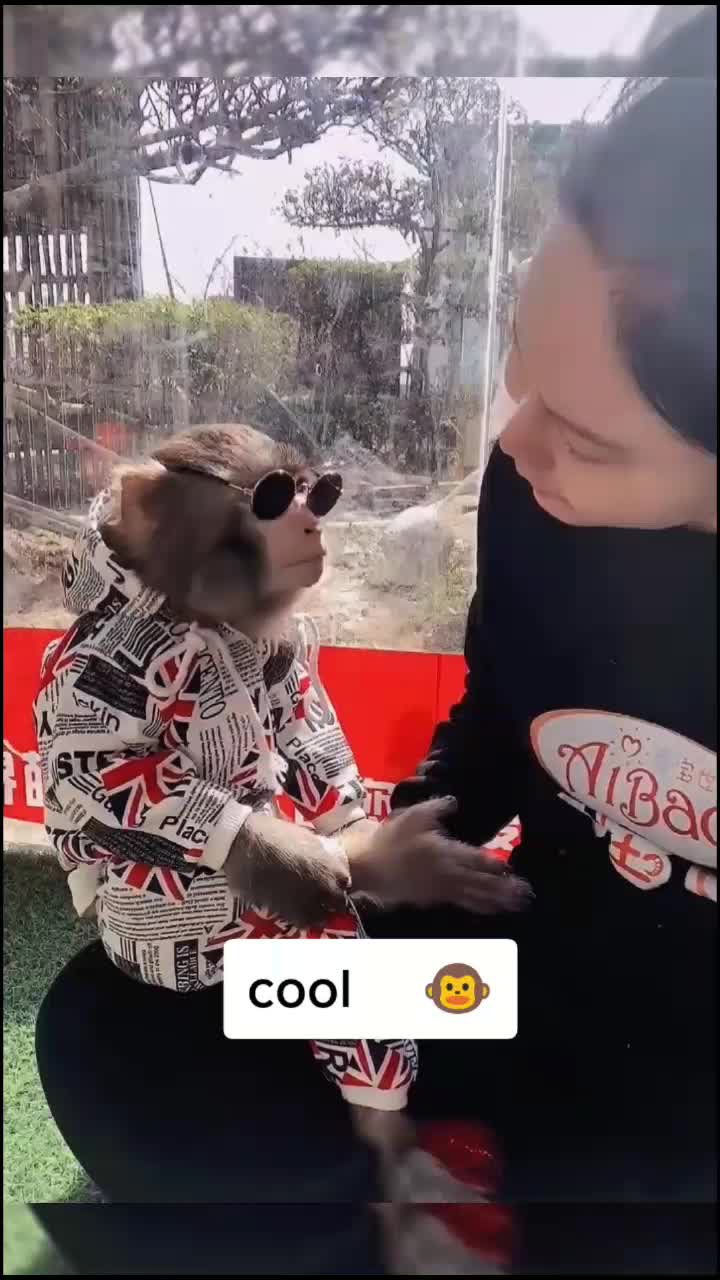 @petlove