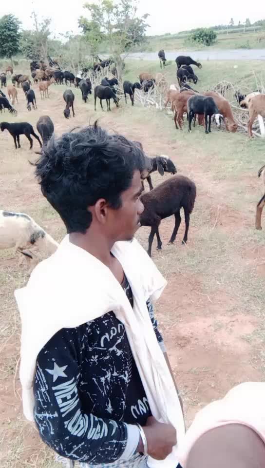 @ಅಪ್ಪು ಬಾಸ್ GS