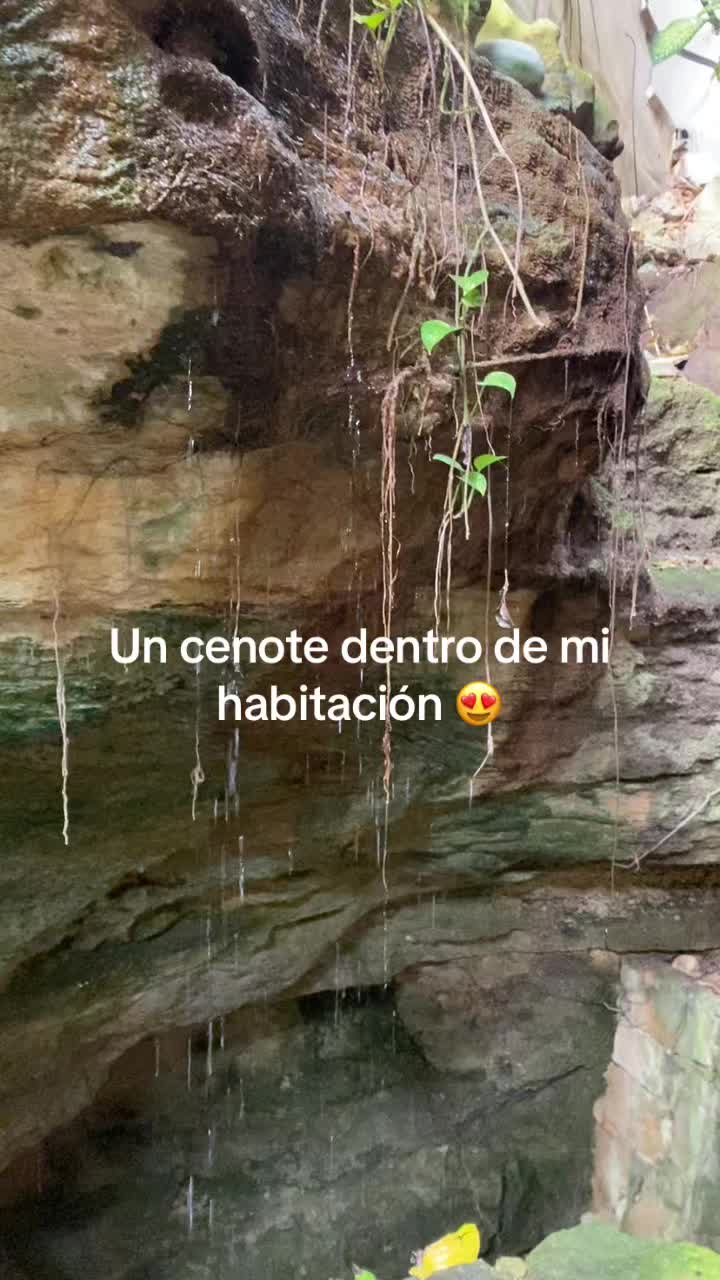 @Alex Logos