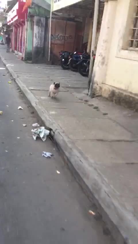 @user235304