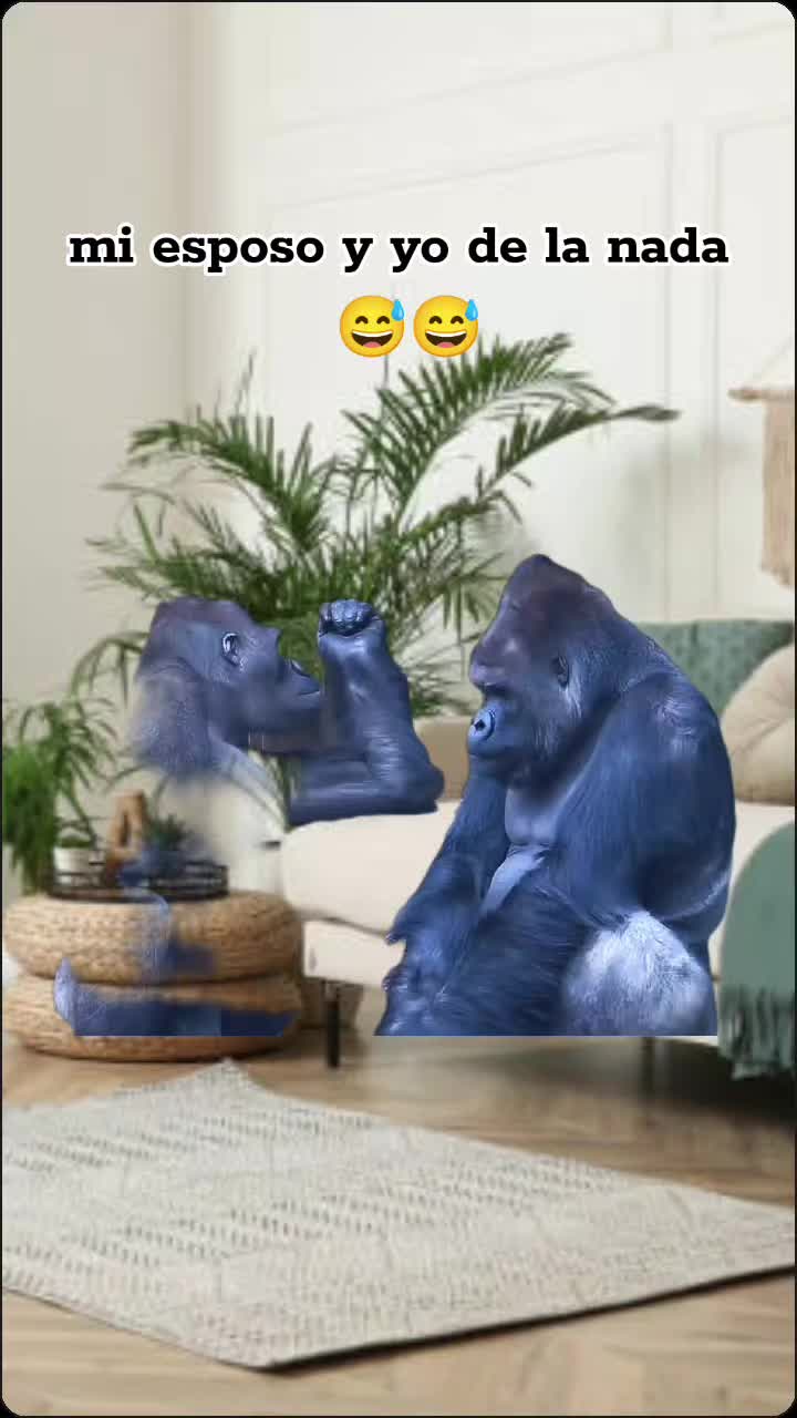 @V1V15 sanchez