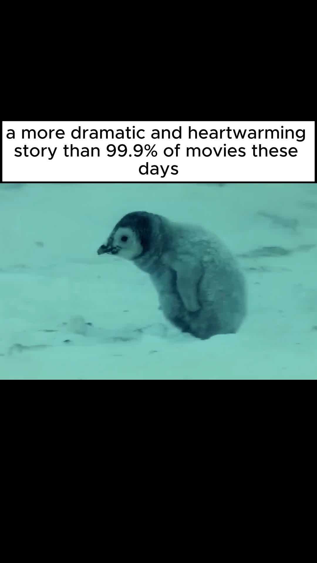 @Planet Earth