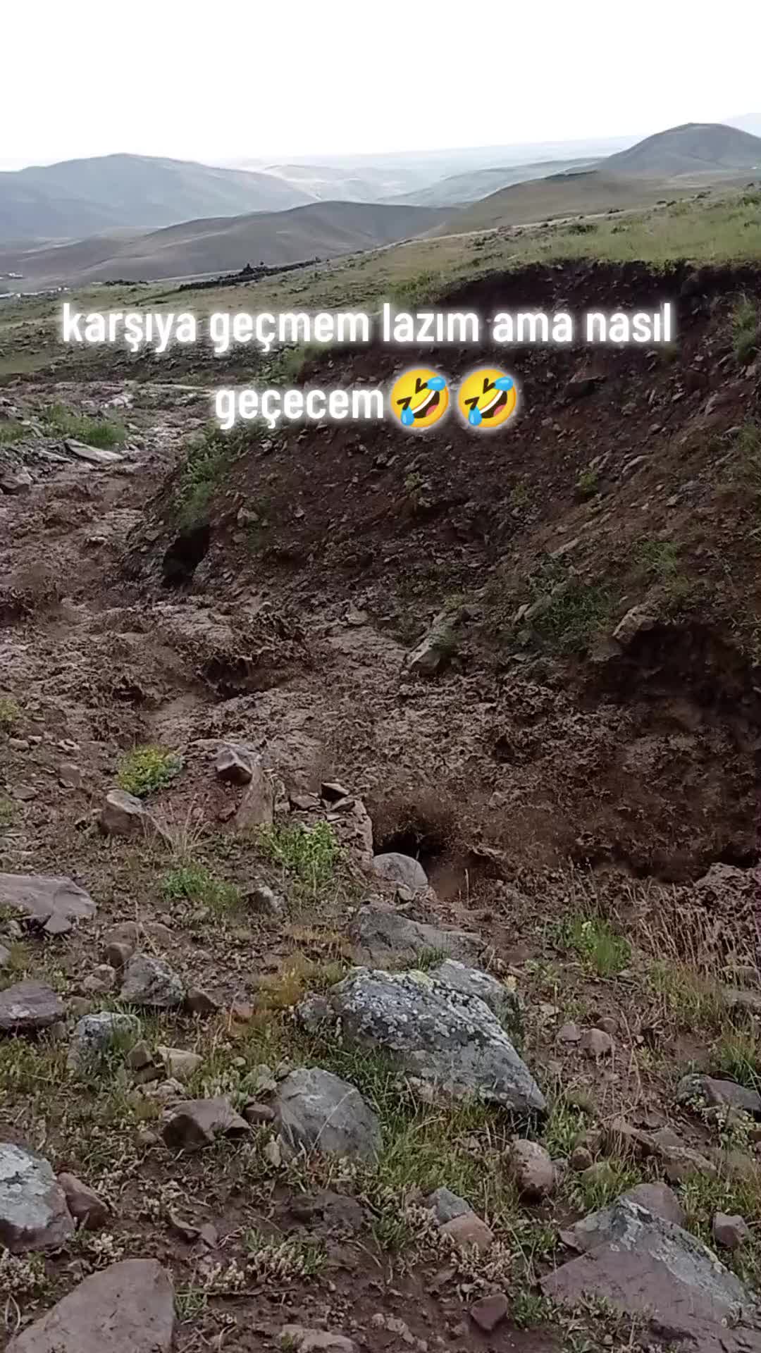 @seyhan
