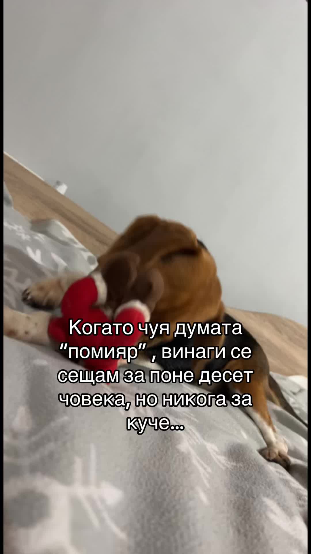 @Monika