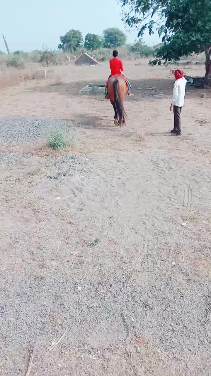 @🐎Mr ભોજાવદર વાળા🐎