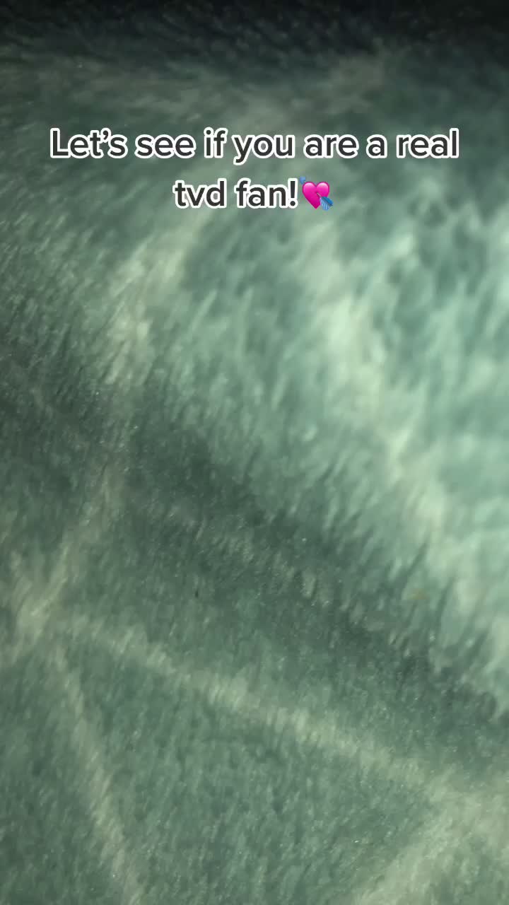 @⚜️⚜️⚜️⚜️⚜️