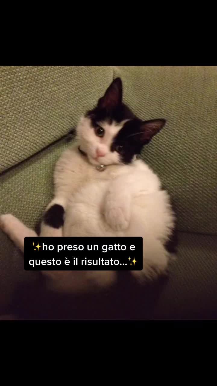 @alessiavanzan