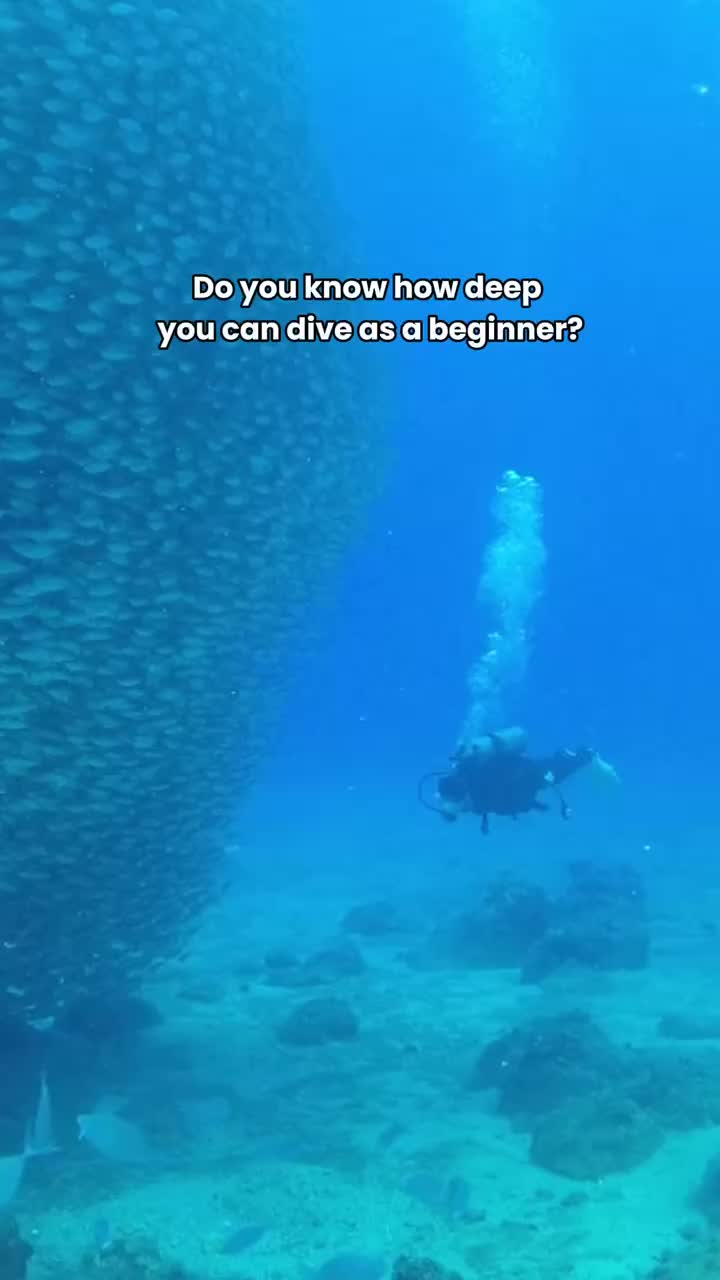 @Divernowmarine