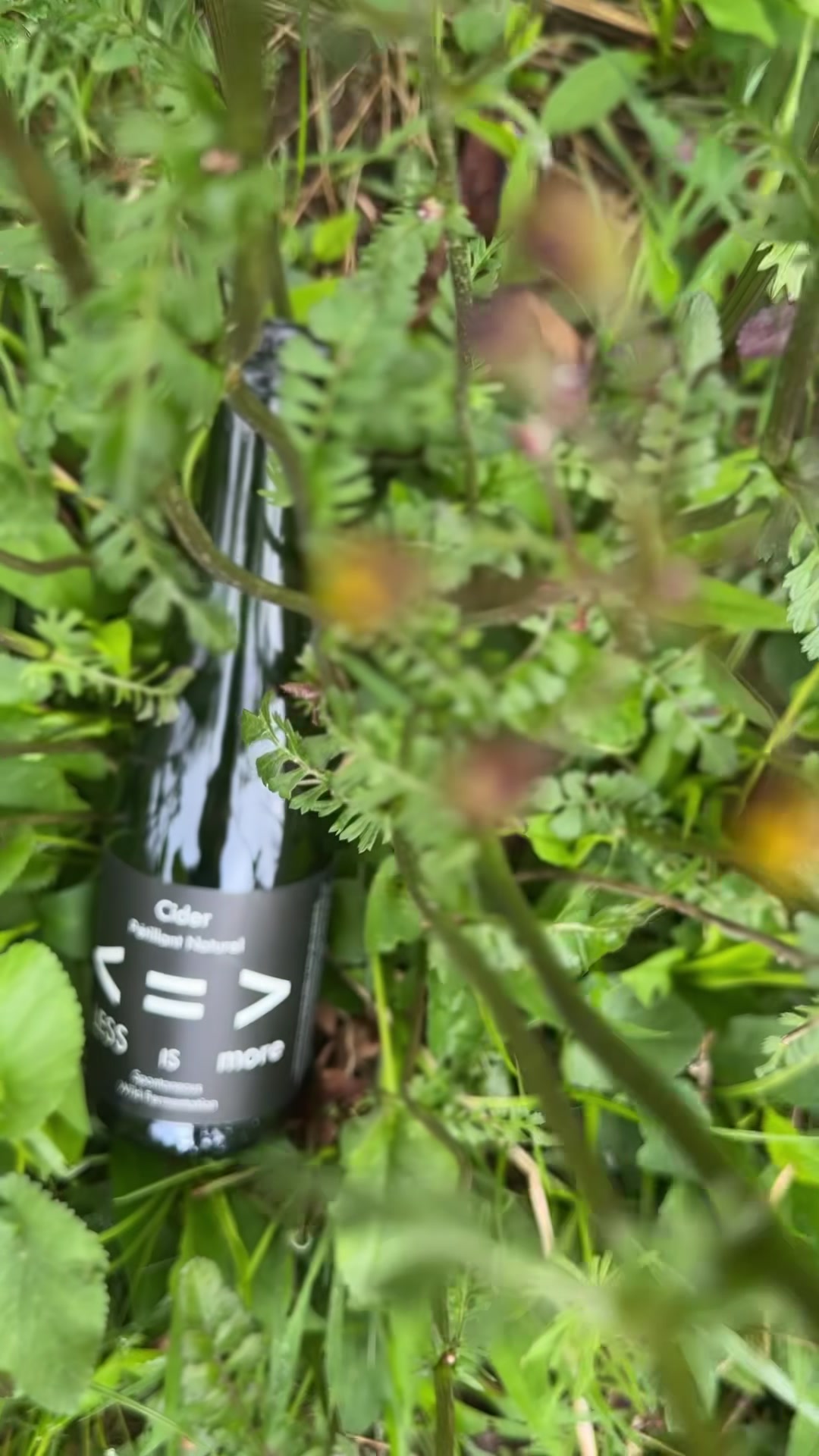 @DeFiWines