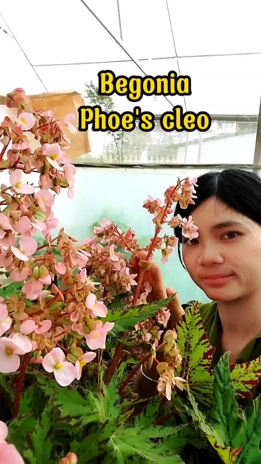 @Vườn nh&agrave; Tuyết