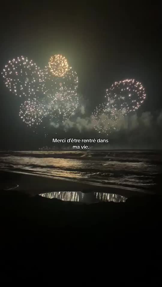 @avaa 🌟