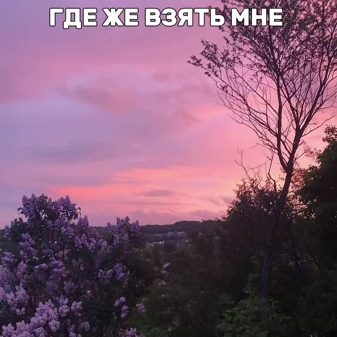 @ᶻ 𝘇 𝓵𝓲𝓼𝔀𝓮𝓷 🩹
