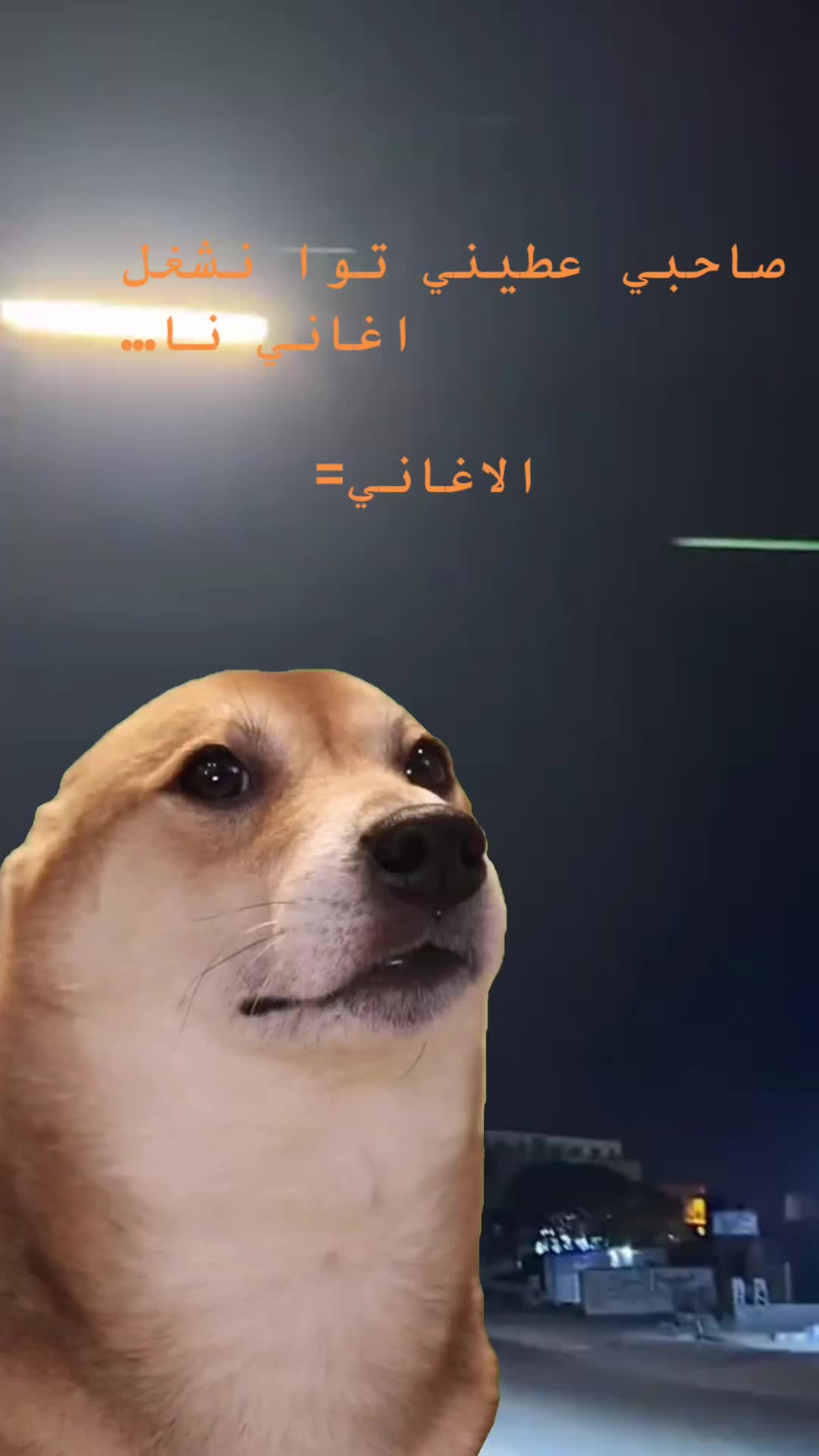 @﮼كابو ﮼الحداد 🤎☠︎
