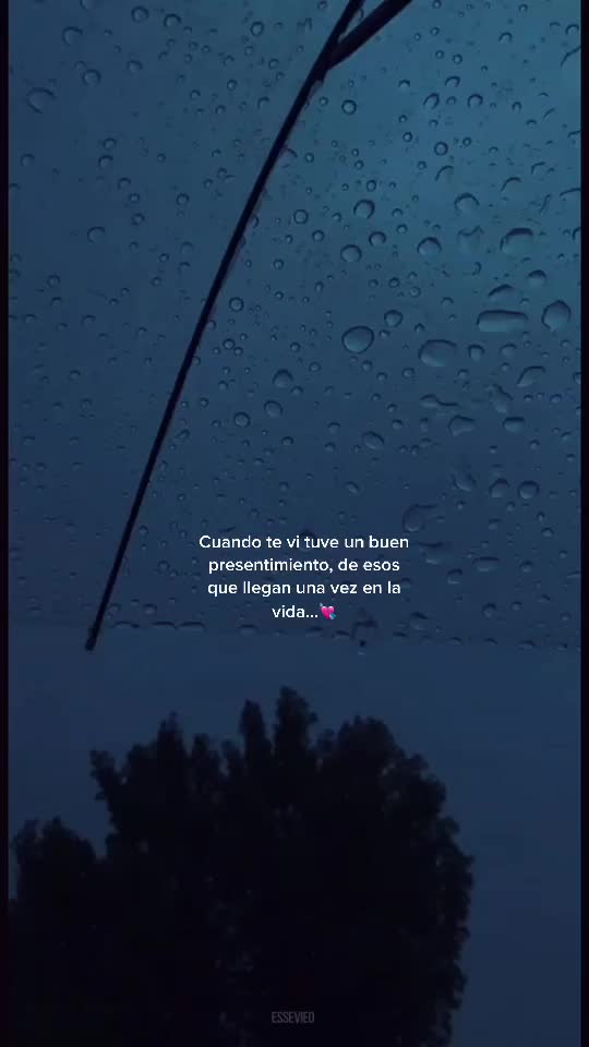 @Morat 💫