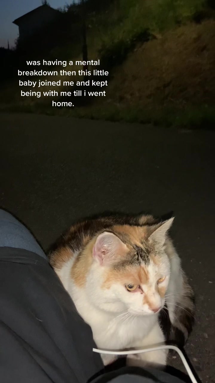 @️