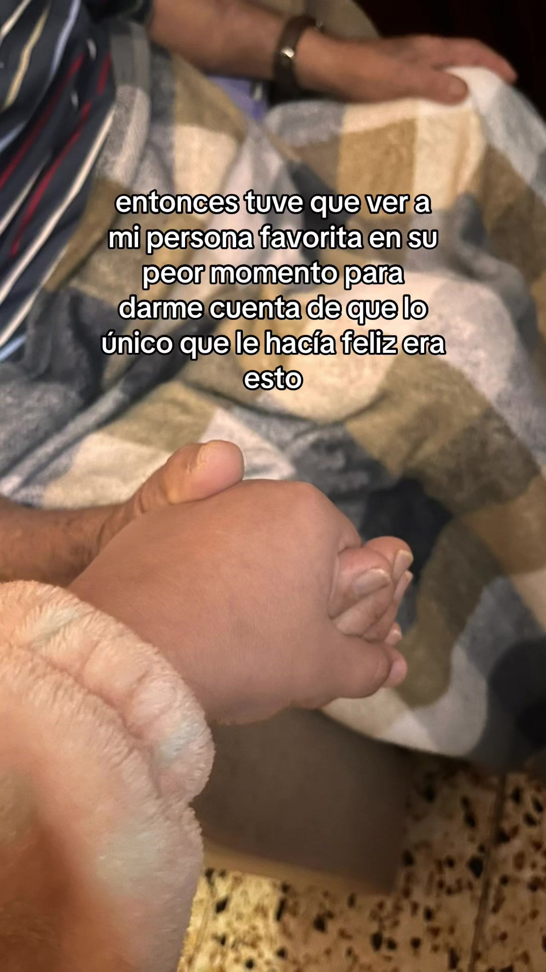 @giselaalayon_