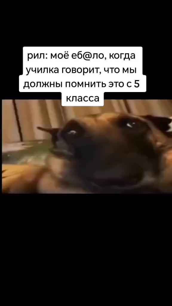 @лупикал