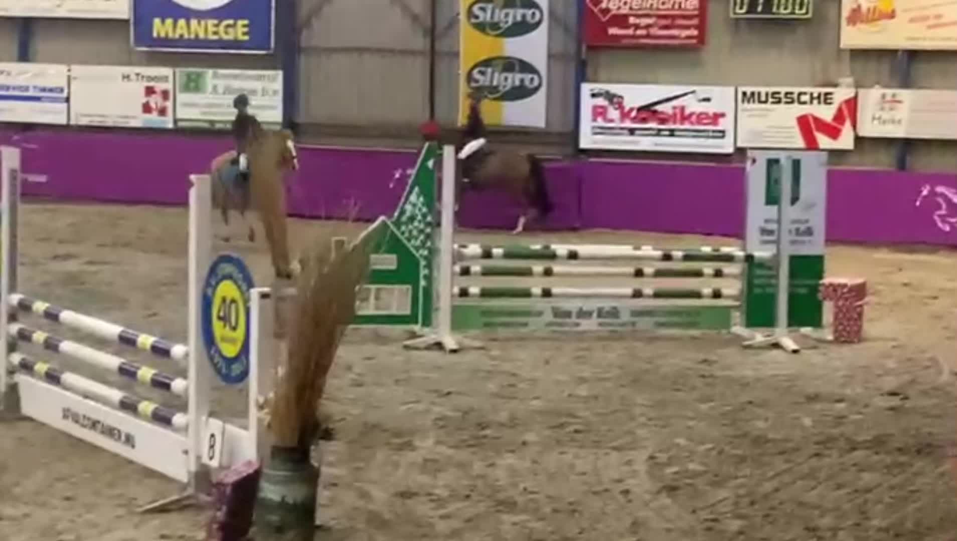 @allroundxgroep🩷🐴