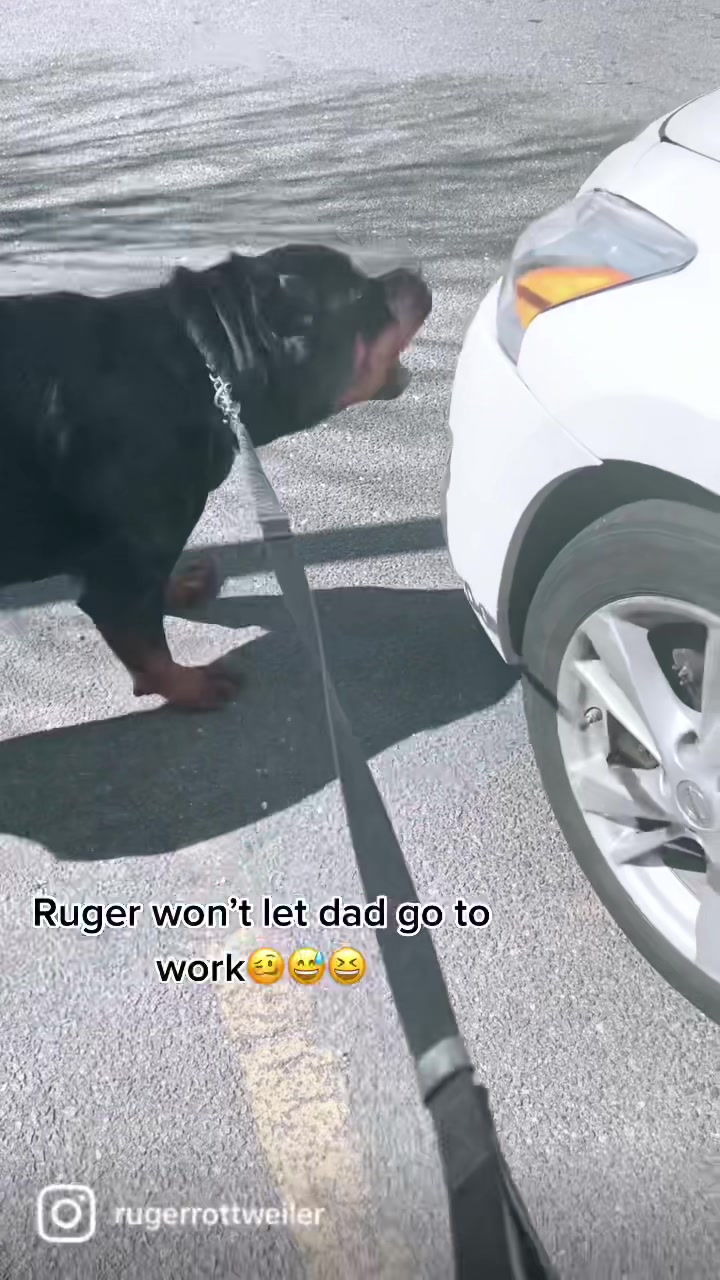 @RottweilerRuger