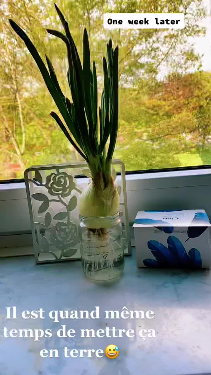 @Asalida