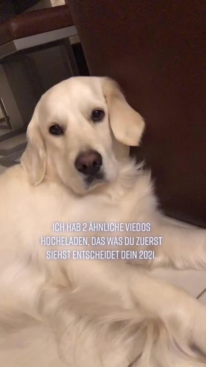@Life_of_Elli