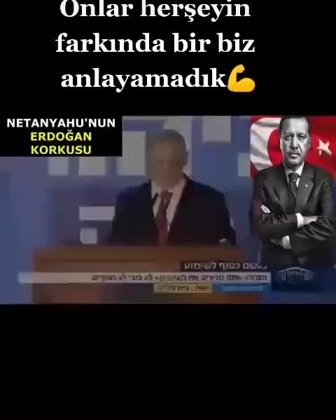 @mujibullahdanish