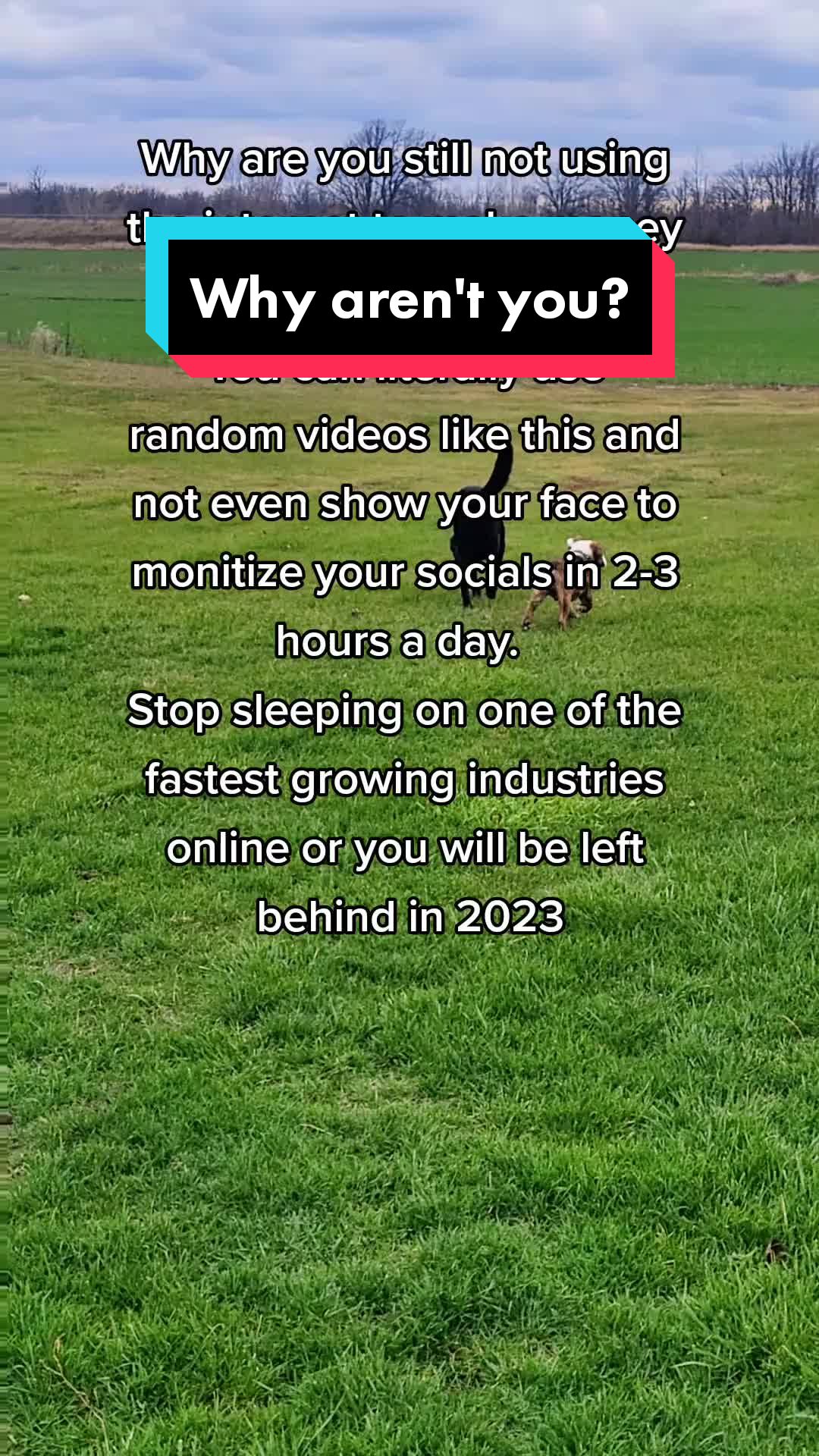 @💯🔥Passive Income Online🔥💯