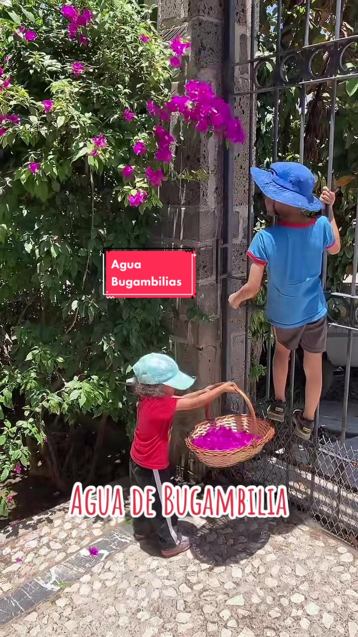 @MaxRuizBravo