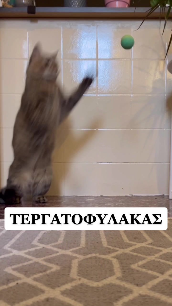 @George Skiadopoulos