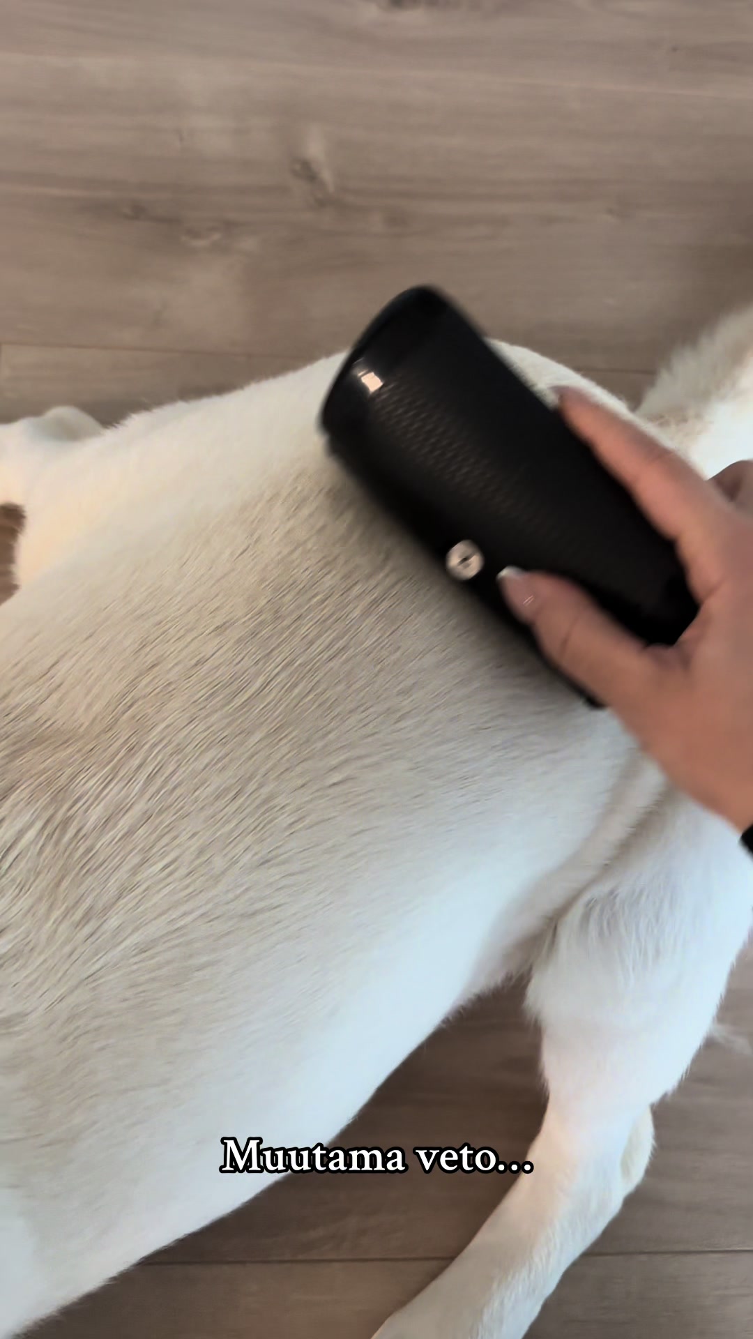 @puppycomb