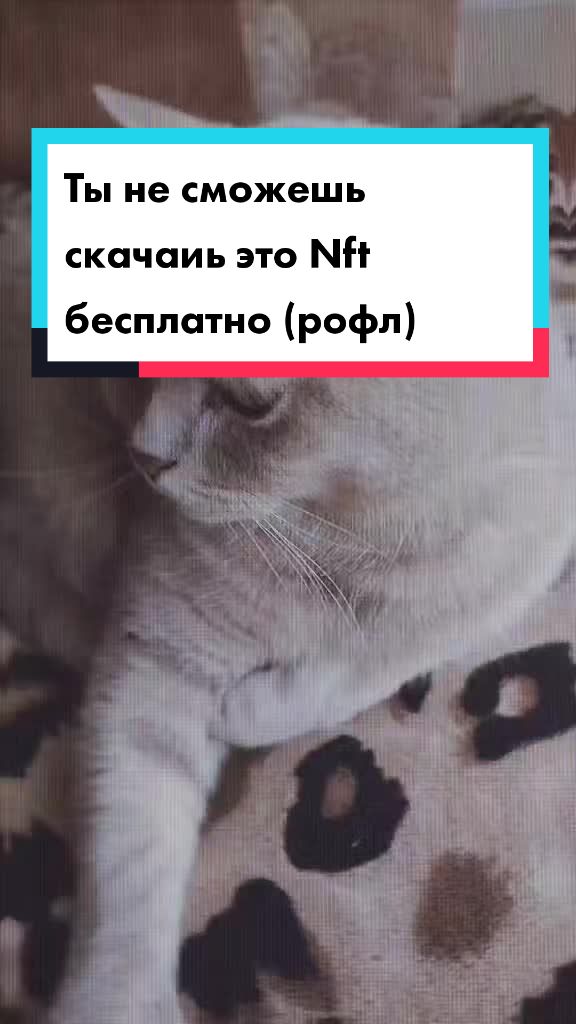 @꧁ꕥ𖠌😻𝓛𝓮𝓿&𝓔𝓶𝓶𝓪𓃠✪ꕥ꧂
