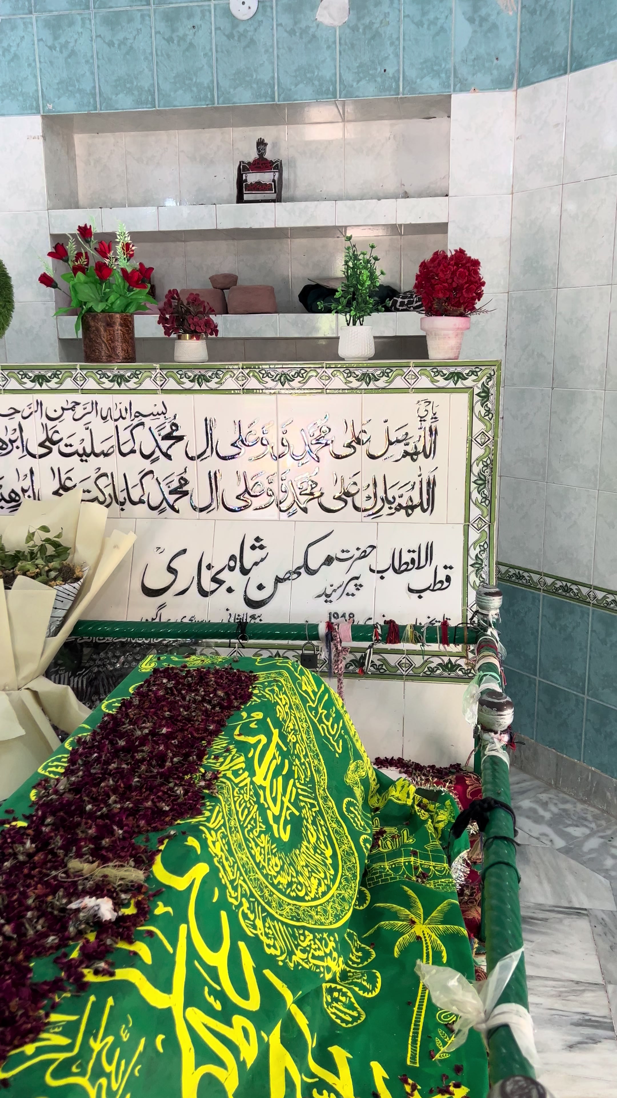 @Mian Amir106