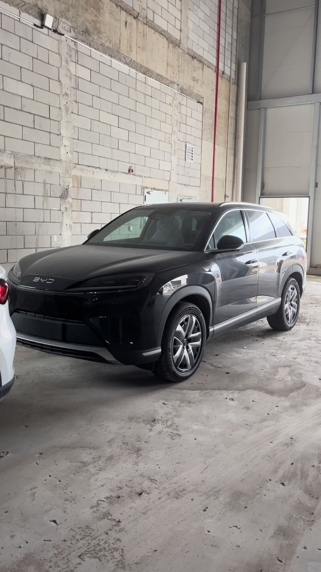 @China EV Export Cars Supplier