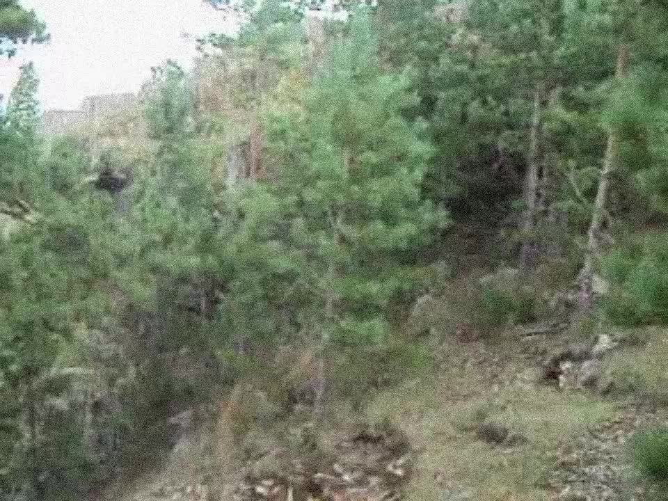 @Безысходность