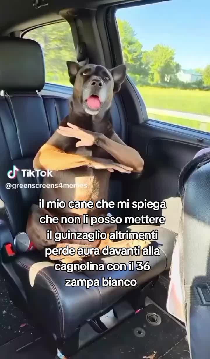 @Alespamm_