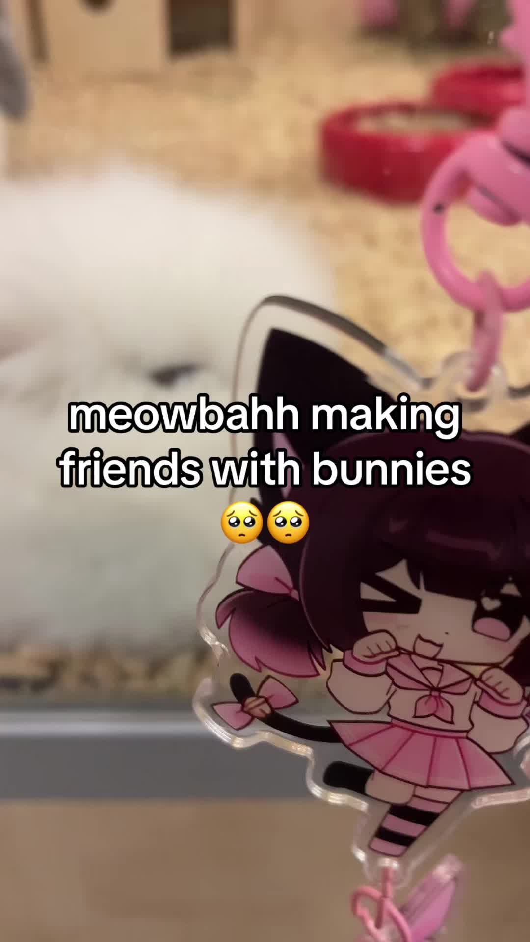 @kawaiicat_girl🎀🪽
