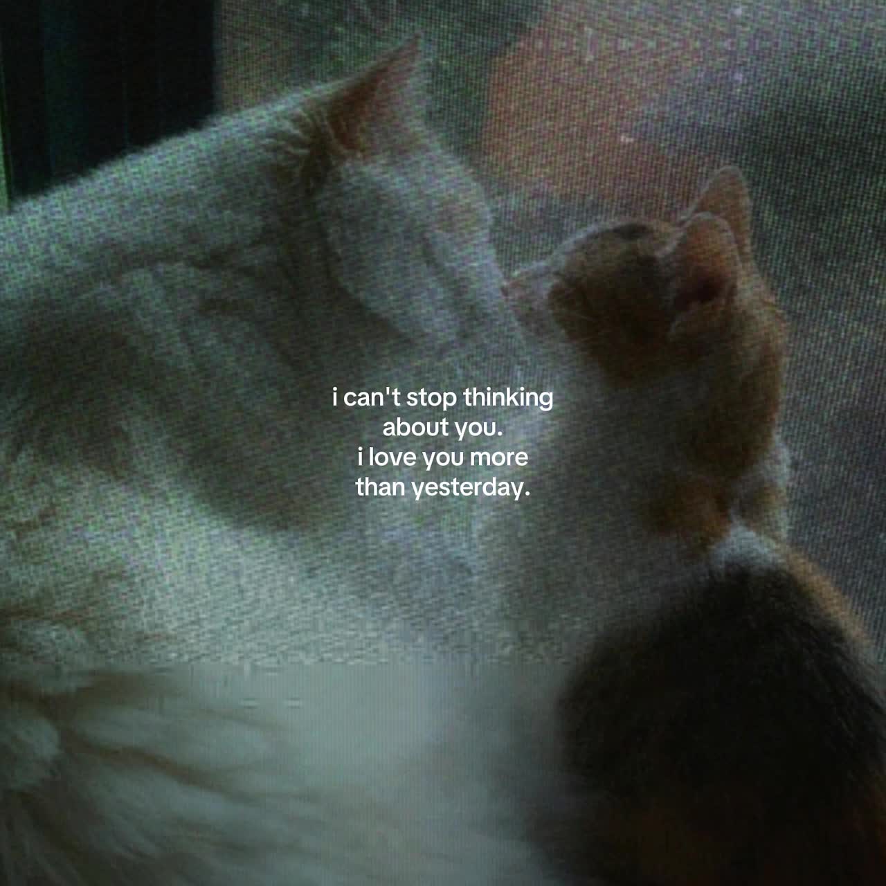 @Spotify: LXNYA