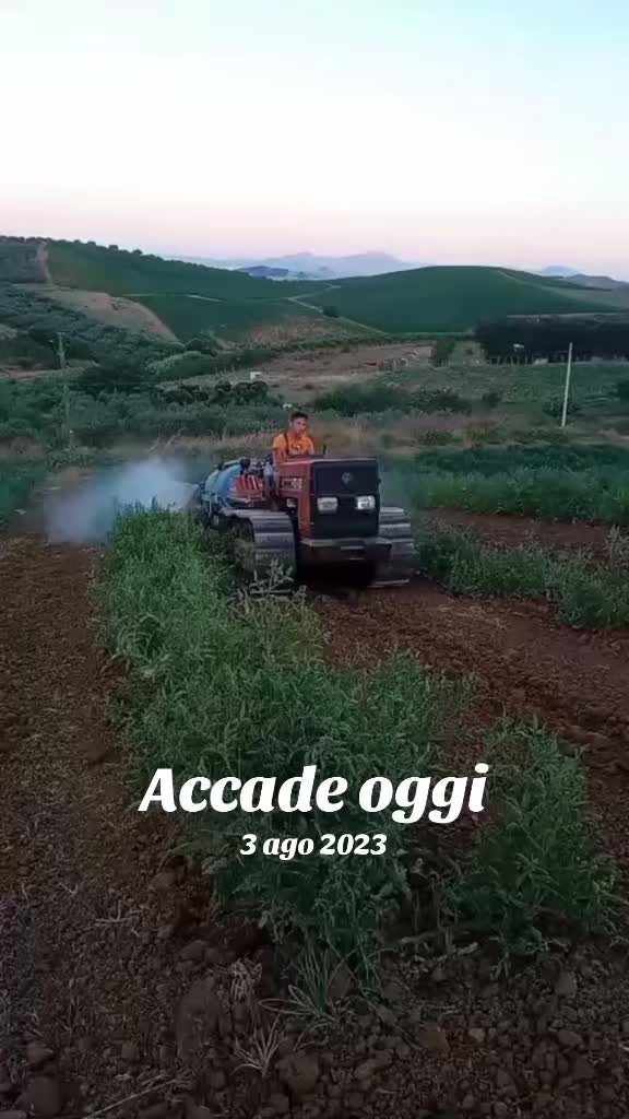 @Badalamenti