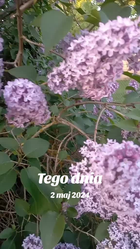@MaGdaC