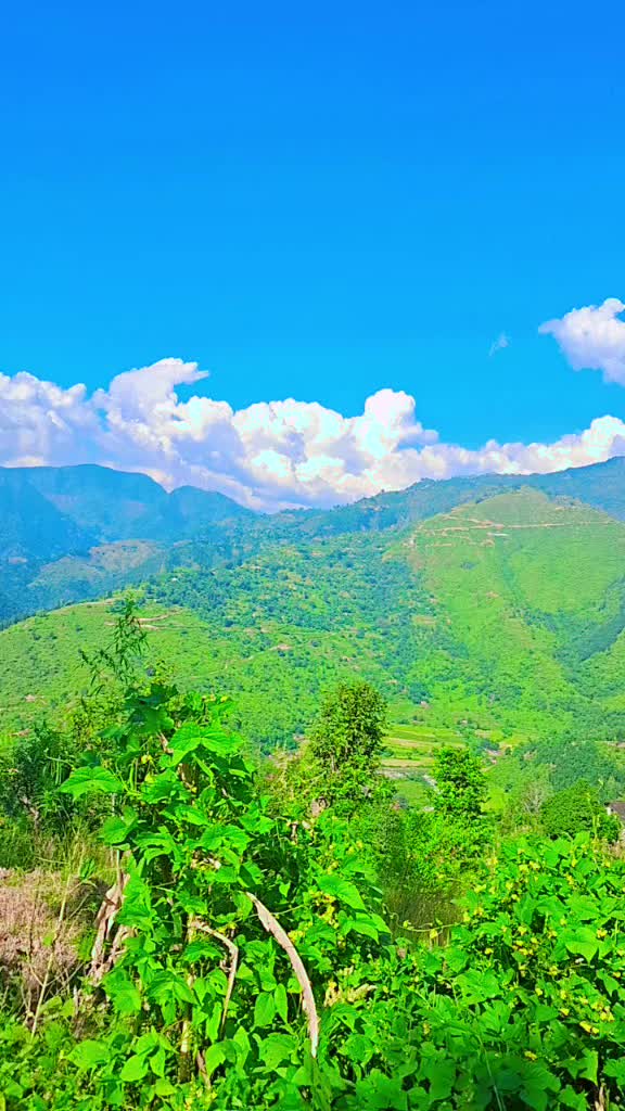 @Arun shahi